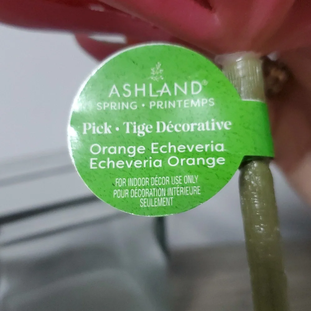 ASHLAND PICK ORANGE FLOWER
